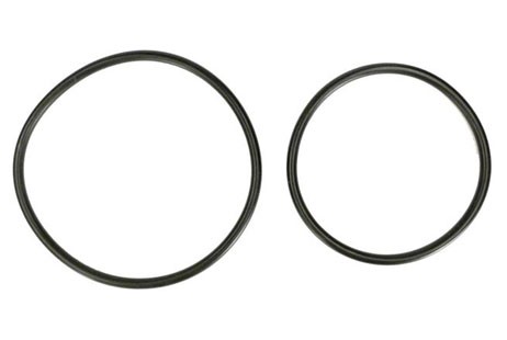Hayward O-Ring Kit | 2-Set | DEX2420Z8A