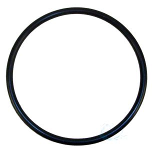Rainbow Chlorinator Lid O-Ring R172009 | O-283V-9