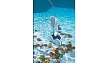 Polaris 280 Automatic Pool Cleaner | Includes Hose & Back-up Valve | F5